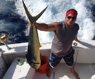 pescando dorados